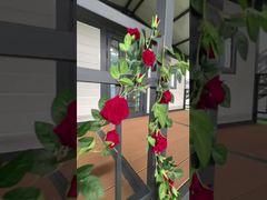 20ft Katlanabilir Tente Ev